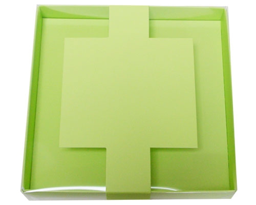 Windowbox carre large with sleeve 140x140x19mm pistache