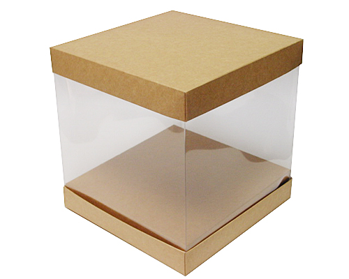 Skylinebox L210xW210xH150mm exterior Kraft 