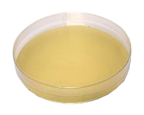 PVC round D210 x H30mm transparant