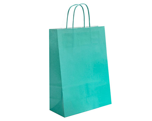 Paper bag curled handle L220xW100xH310mm green