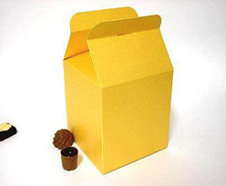 Cubebox handle middle 100x100x100mm goldyellow with goldcarton