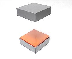 Skylinebox L100xW100xH160mm exterior Monaco silver-orange
