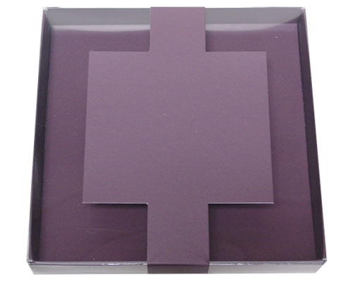 Windowbox carre large with sleeve 140x140x19mm fig