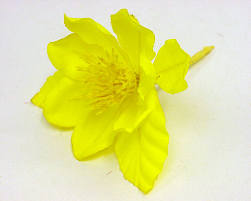 Zomeranemoon yellow