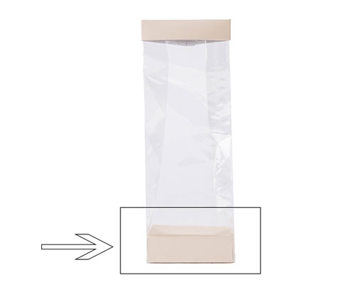 Arosabase 100x60x30mm seashell