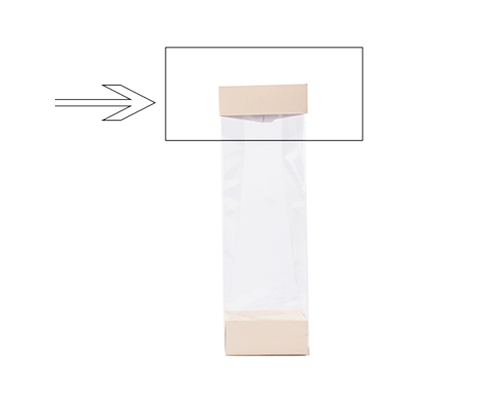 Arosa clip 70mm seashell