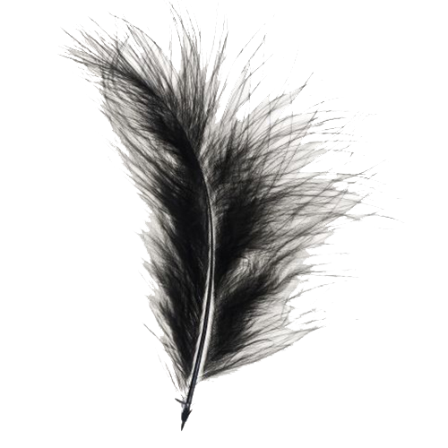 Feather