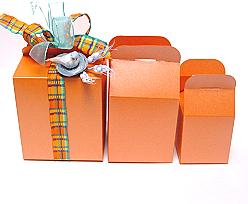 Cubebox handle middle 100x100x100mm orange with goldcarton