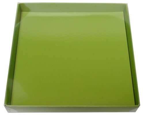 Windowbox carre large 140x140x19mm kiwi green