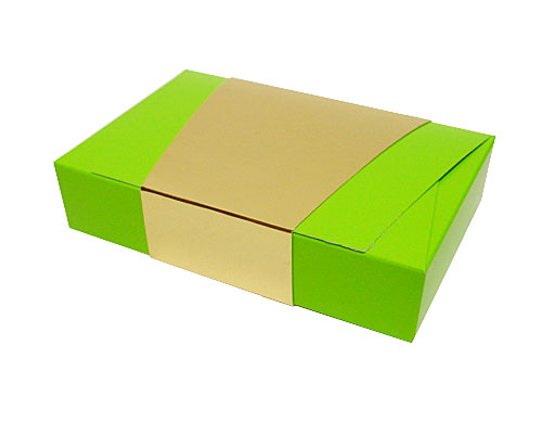 Ballotin enveloppe 184x117x35mm vert pomme laque