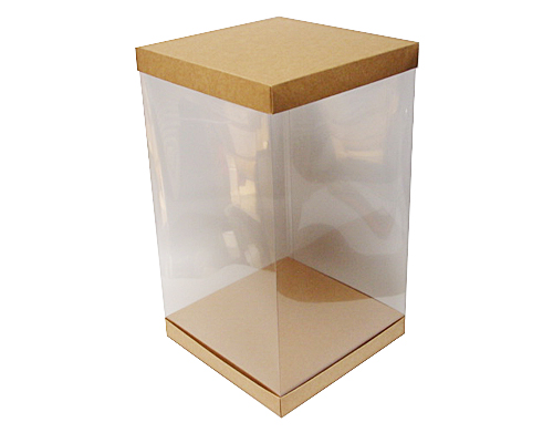 Skylinebox L250xW250xH400mm exterior Kraft