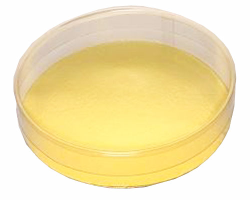 PVC round D150x H30mm transparant