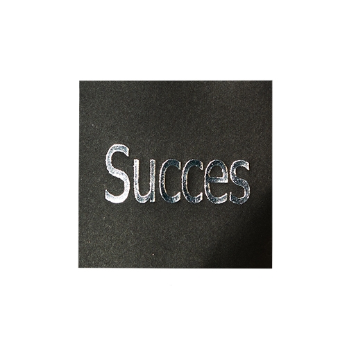 Wish label Succes black silver 500pcs