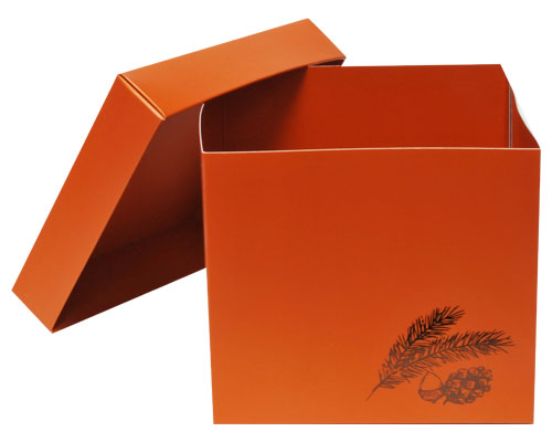 Cubebox Autumn figures 1000 gr. sunset orange