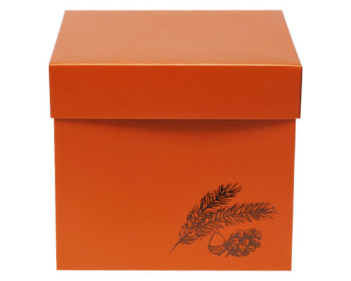 Cubebox Autumn figures 1000 gr. sunset orange