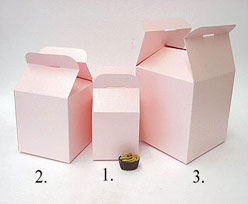 Cubebox handle large 125x125x125mm pink with goldcarton