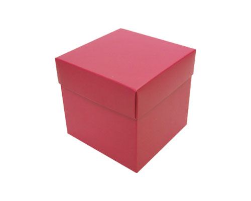 Cubebox appr. 500gr dahlia