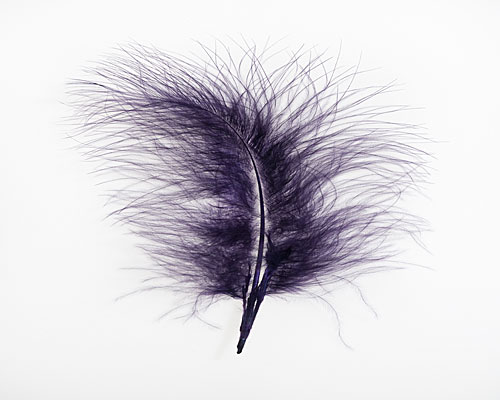 Pluim Maribou, darkpurple appr. 60  pcs in packing