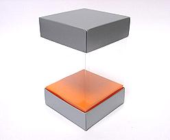 Skylinebox L100xW100xH140mm exterior Monaco silver-orange